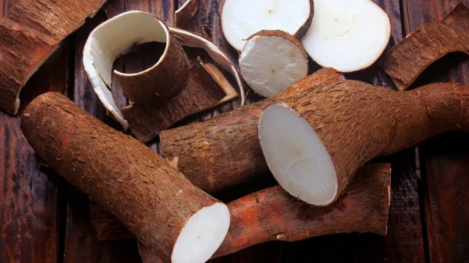 Cassava peels